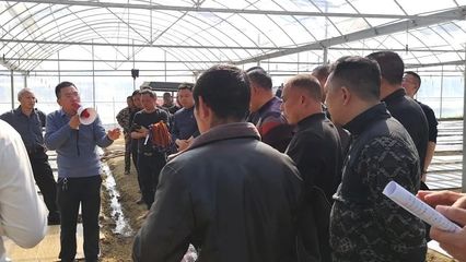 “DMC”技術在平江首次亮相 開啟技術推廣服務新篇章