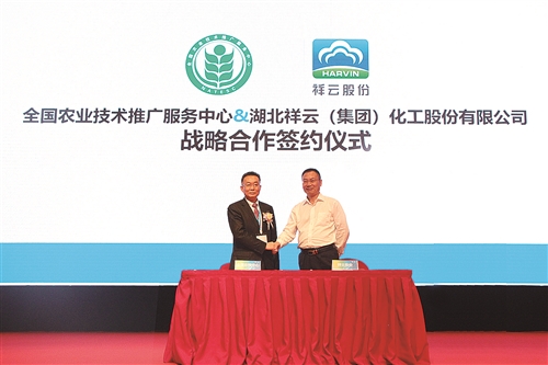 構建高效技術推廣服務體系，賦能鄉村振興新篇章——中華合作時報觀察